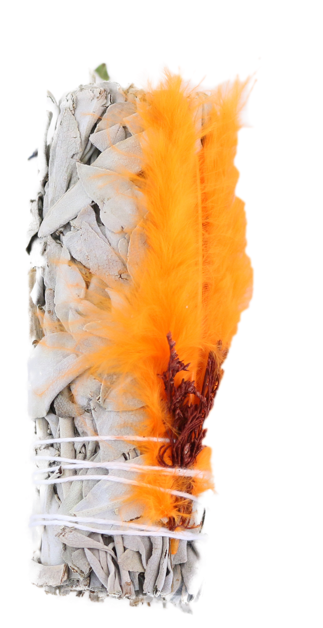 White Sage with Orange Feather 4"  PACK OF 12