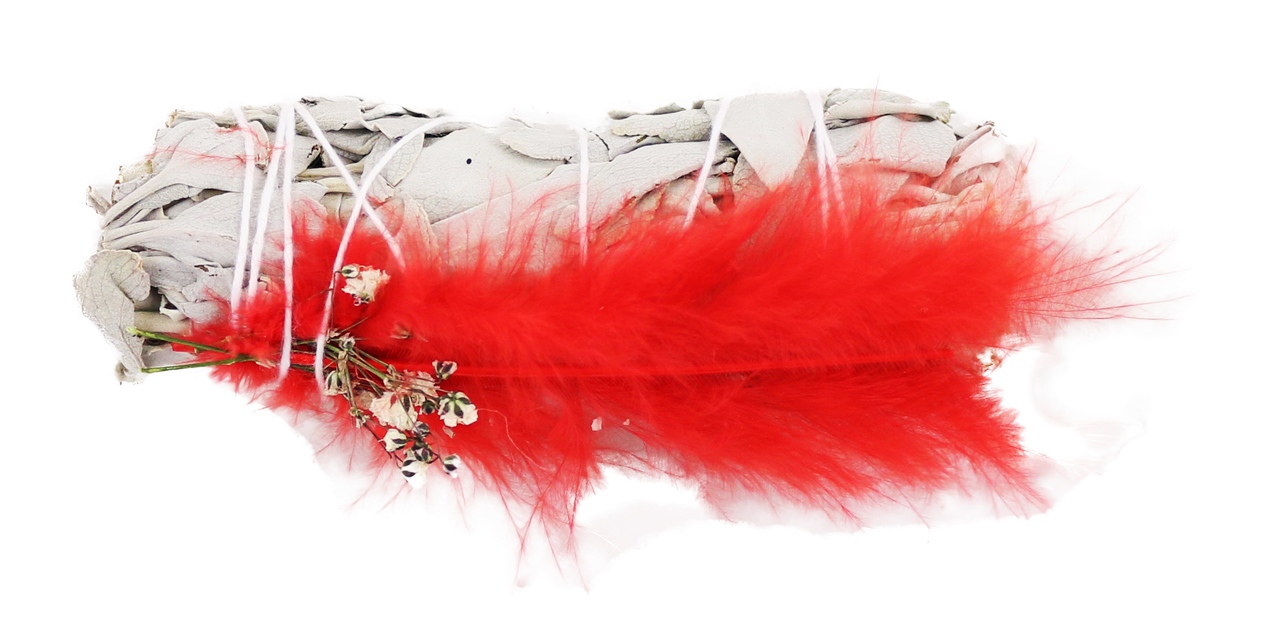 White Sage with Red Feather 4"  PACK OF 12